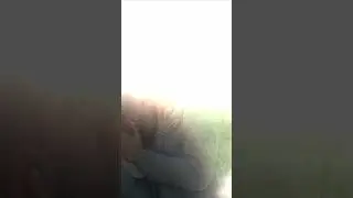 Неповторимая.   