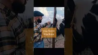 Quick Release Knot | EASIEST METHOD! #horsemanship #equestrian