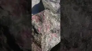 eudialyte