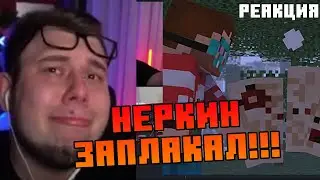 Реакция Неркин на Видео Фарадея 