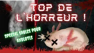 #1 TOP DE L'HORREUR  : les pire sables pour ton bac a AXOLOTLS !!! NE FAIS JAMAIS CETTE ERREUR !!!!