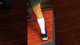 Cheetah watching exercise #cats #catvideos #cute #gym #excercise