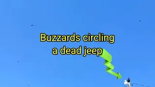 (1904) Buzzards circling