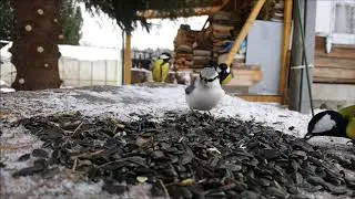 Зима зимой, а обед по расписанию.
