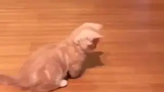 Прыжочек