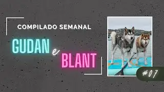 COMPILADO # 7 GUDAN O HUSKY