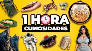 ¡1 HORA De DATOS CURIOSOS y FASCINANTES Que Debes CONOCER!⏰| #27