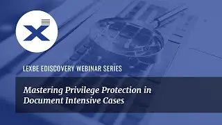 Mastering Privilege Protection in Document Intensive Cases