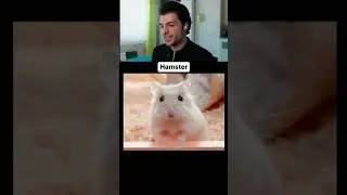 Wie süß der letzte ist 😃