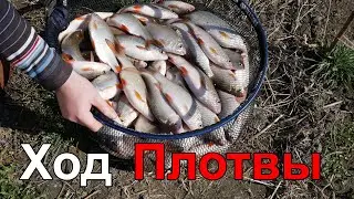 Roach Run in Spring on the Sula River.