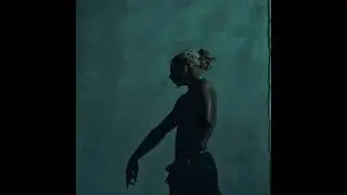 [FREE] playboi carti x WLR type beat - 