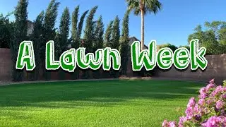 A Lawn Week//My Sharpie Pen Worked Out Well