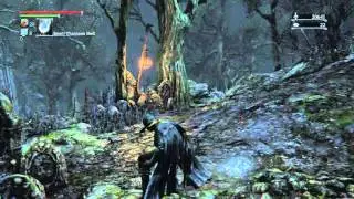 Bloodborne Roar gesture Male Old Voice