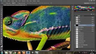 FlashSeps 2.5 Simulado Multifondo(Parte1)