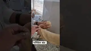 Narikela khand || best ayurvedic medicine #shorts #ytshort