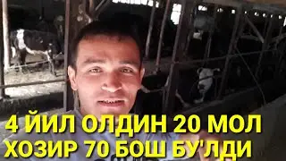 70 БОШ МОЛНИ ФОЙДАСИ ОЙИГА 500$  ИШЛАШ.