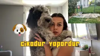 Kizimla Birlikte Temizlik ‼️