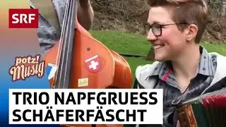 Ländlertrio Napfgruess: Schäferfäscht | Potzmusig 