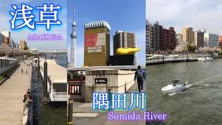 🏮 ASAKUSA 🗼Río Sumida River 🍺 Asahi Beer Hall▫️TOKYO 2021🎌  🔴【JAPÓN 2021】JAPAN 🔸 浅草 隅田川 アサヒビールホール 🍻
