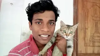 ഇതൊക്കെ ഞാൻ ഒട്ടും പ്രതീക്ഷിച്ചിട്ടില്ല💯🤣🤣|MALAYALIS STUDIO|Pet & passion