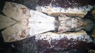 Unbelievable Descent Into A Mysterious Limestone Well Captured By Gopro!