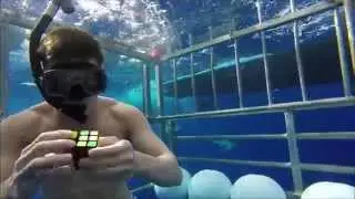 Rubik's Cube Solved in a SHARK TANK in 15 seconds!