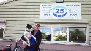 Ook honden houden van de Zaanstreek...