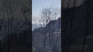 Золотой берег