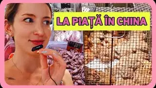 Vă iau cu mine la piață în Hong Kong 🐸 Haul Yesstyle skincare coreean 🛍️