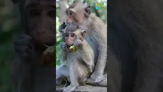 Two Brother broken family😢.