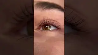 Идеально! Ламинирование ресниц в студии glamy-brows.ru Петроградская Лахтинская 1/60