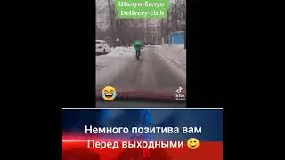 Шалун балун | Лучшие видео из Инстаграма