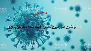 باحثون أميركيون أنتجوا لقاحا فعالا ضد كوفيد 19