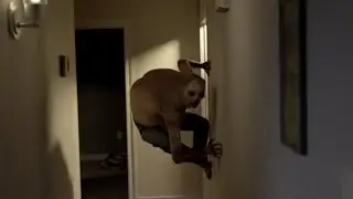 A guest from the attic.