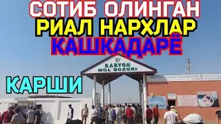 27.08.2024 СОТИБ ОЛИНГАН РЕАЛ НАРХЛАР КАРШИ КАРВОН МОЛ БОЗОРИДАН