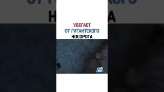 Убегает от гигантского носорога , фантастические твари и где они обитают