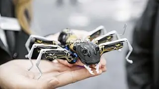 Bionic Ant  Nature–Design Triennial