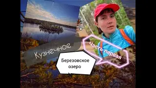 Кузнечное 1 часть. Березовское озеро. Одиночная прогулка в лесу летом.
