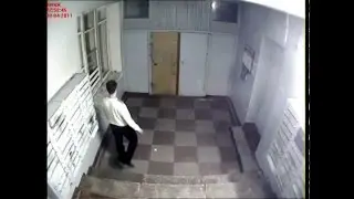 Каратист
