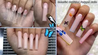 COLORFUL OUTLINED POLYGEL NAILS! BUTTERFLY NAIL DESIGN | Polygel Nail Tutorial