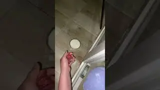 Приручаем кошку. День 14