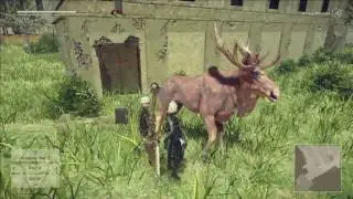 NieR: Automata ~ Ep. 7 ~ Mighty Mounts