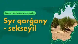80 волонтеров высадили саксаул на дне Аральского моря