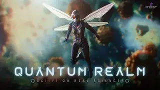 Unlocking the Quantum Realm: Understanding the Strange of Quantum Physics | MSP WEBCRAFT #quantum