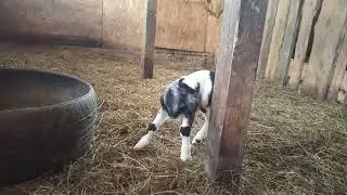 VID 20190926 084438