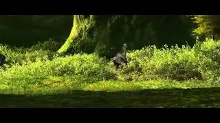 FFXIV Gridania Intro