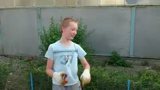 Подстрижка спиреи на позитиве