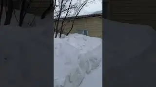 5 июня 2024 г.