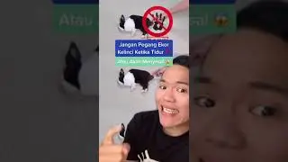 Don't hold the rabbit's tail when it's asleep ‼️ Guaranteed you'll regret it 🤮 