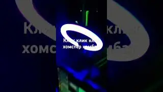 кликаю по хомяку епта фарм #music #automobile #хомяк #хомстер комбат #животные